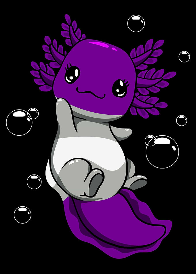 Graysexual Flag Axolotl
