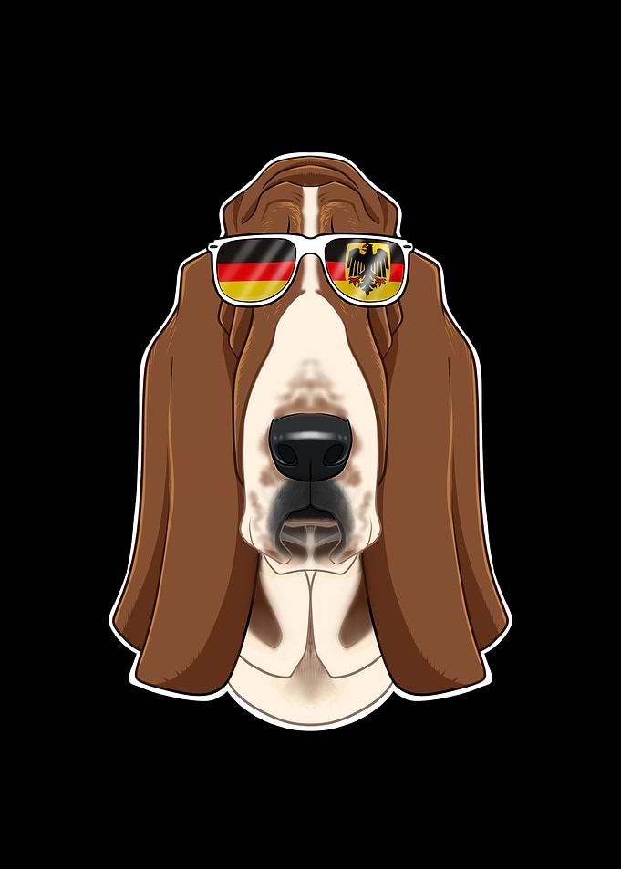 Basset Hound Germany