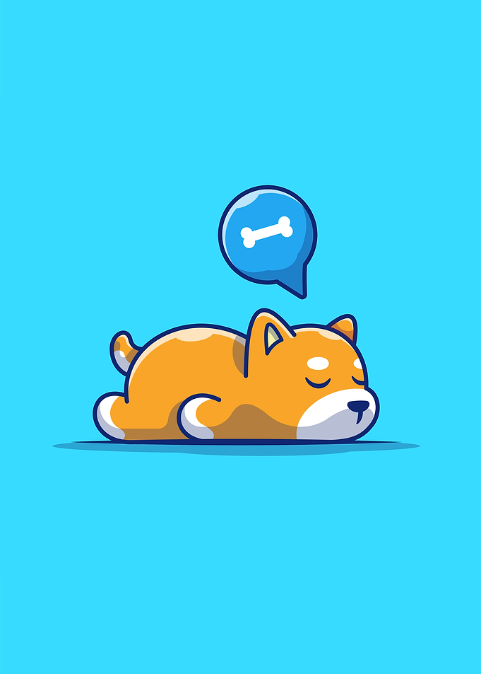 Cute Shiba Inu Dog