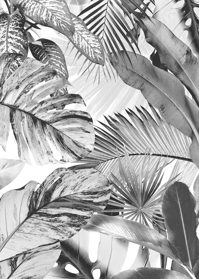 Dushi Jungle Love 1