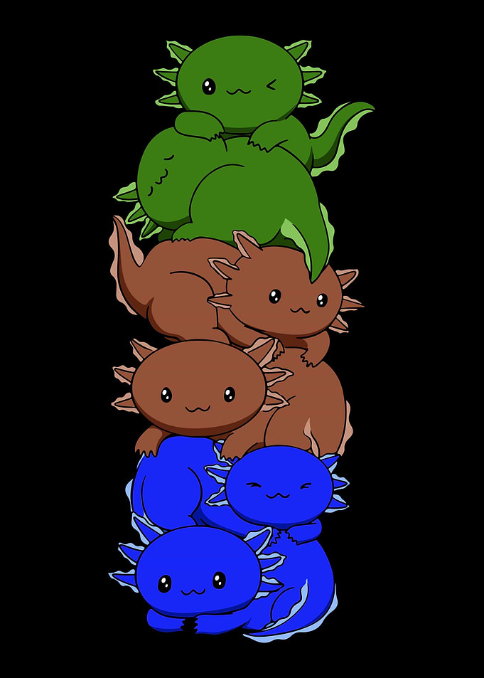 Sapiosexual Flag Axolotl