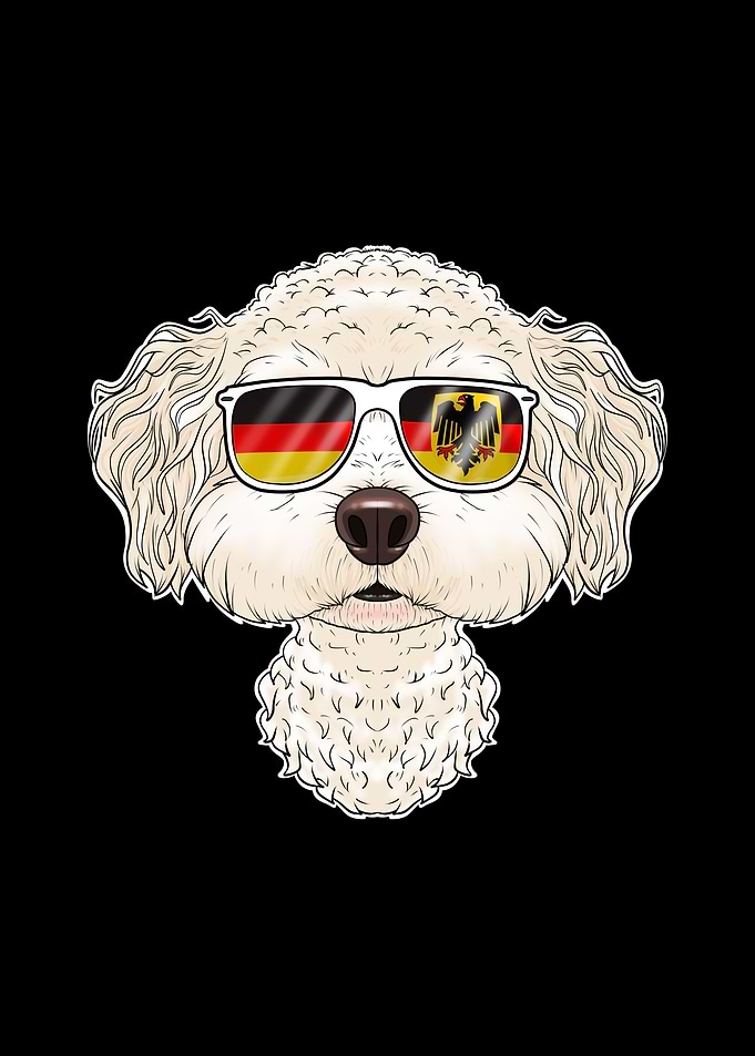 Bichon Frise Germany