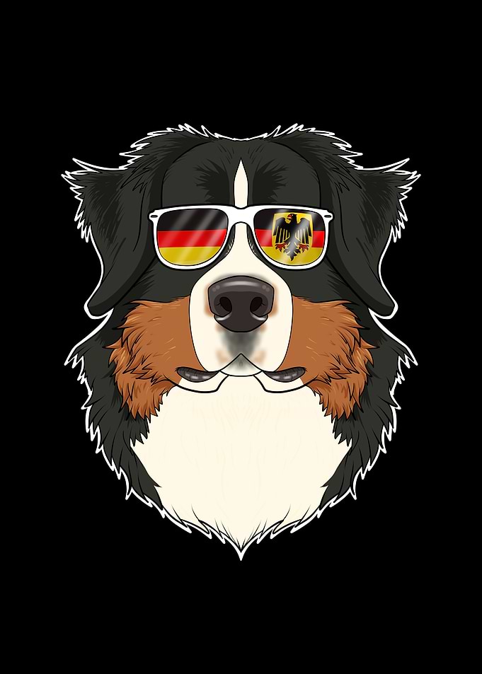 Bernese Mountain Dog