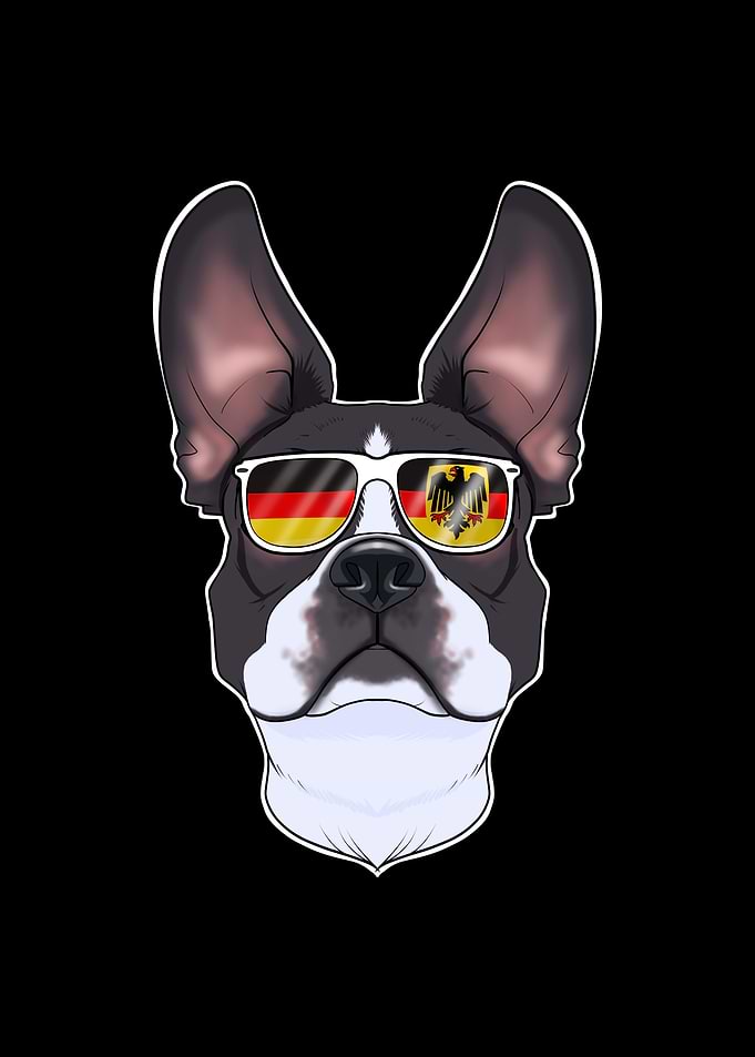 Boston Terrier Germany
