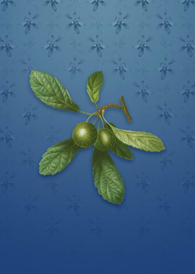 Crabapple on Bahama Blue