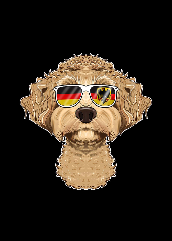 Labaradoodle Germany