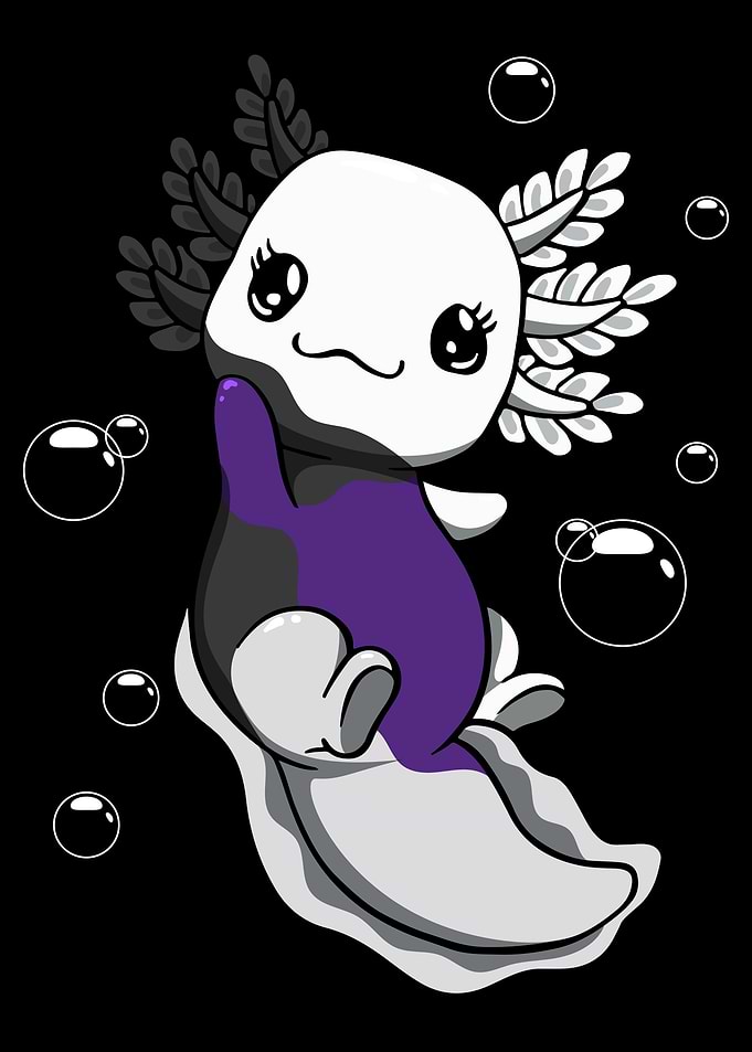 Demisexual Flag Axolotl