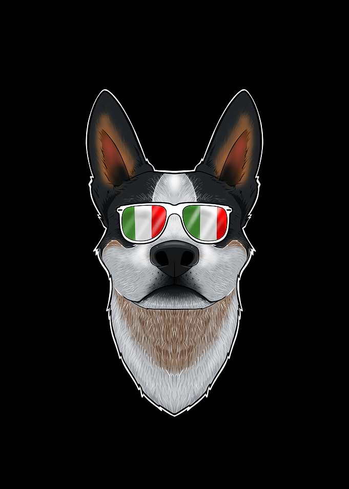 Australian Cattle Dog