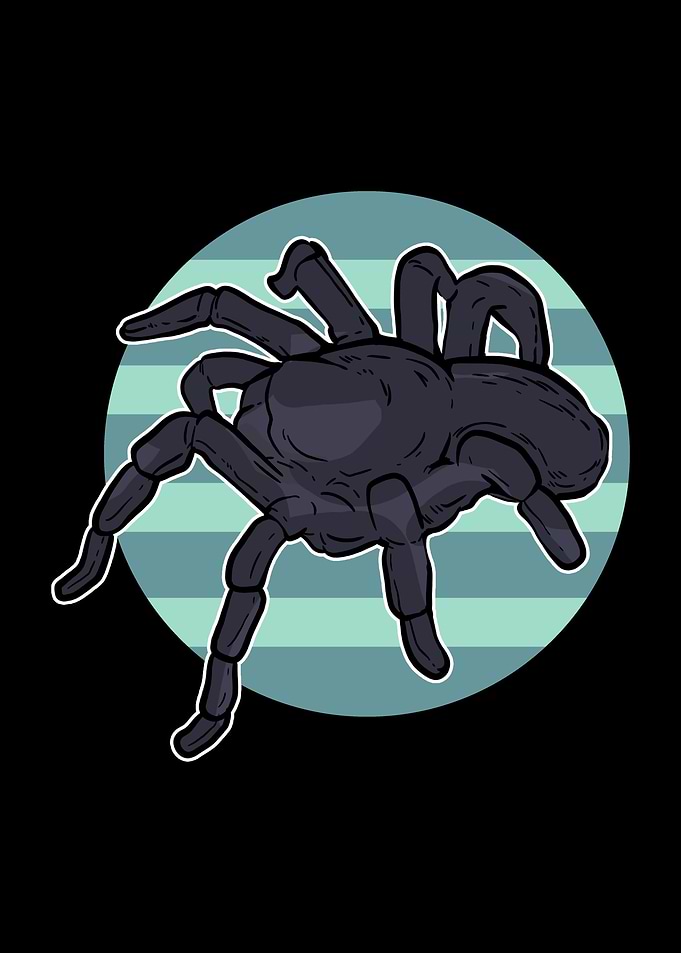Spider Tarantula Pop