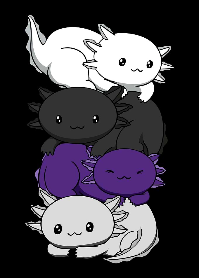 Demisexual Flag Axolotl