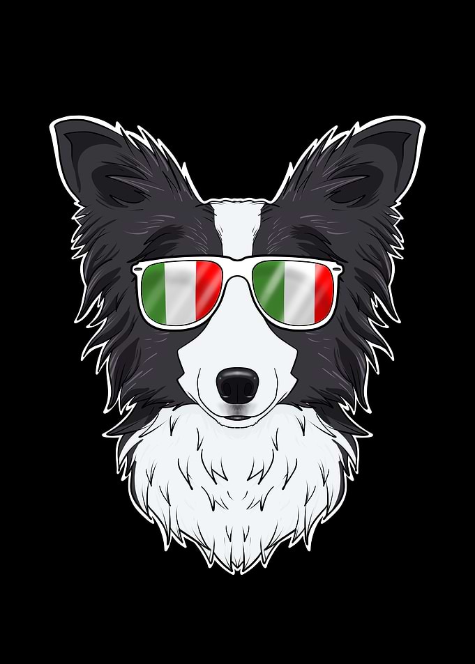 Border Collie Italy