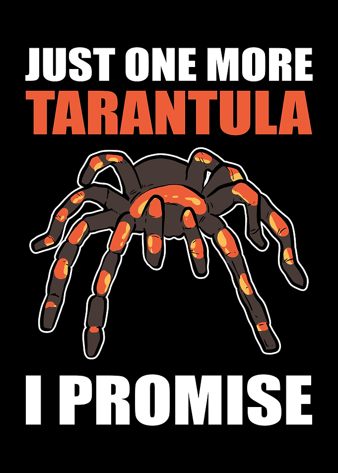 Just One More Tarantula