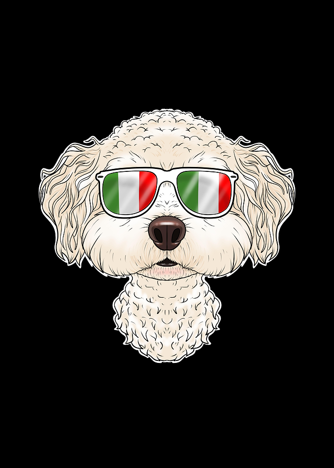 Bichon Frise Italy