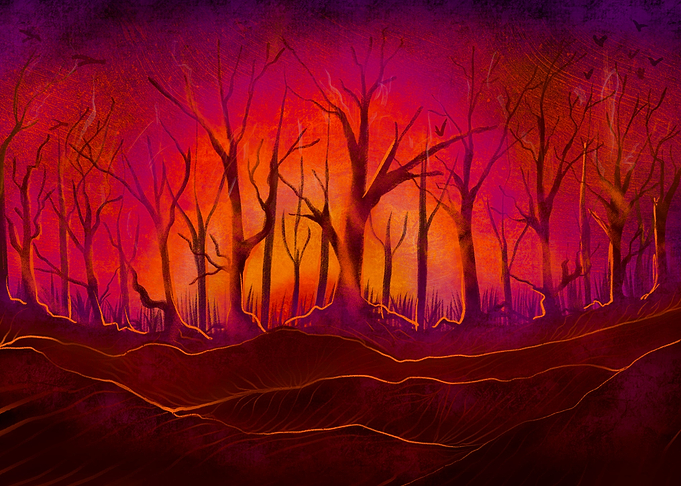 Forest fires