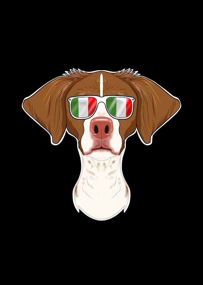 Brittany Italy Sunglasses
