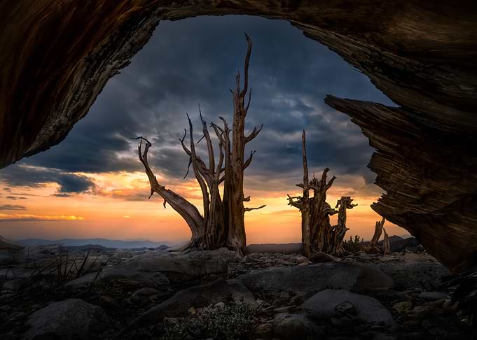 Ancient