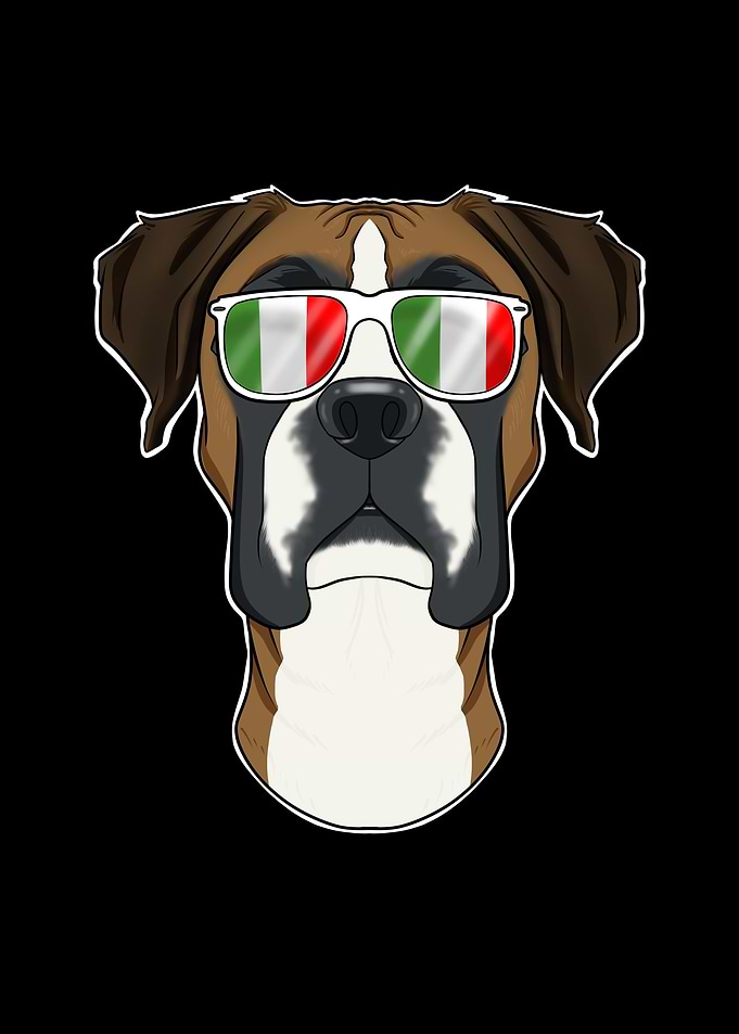 Boxer Italy Sunglasses