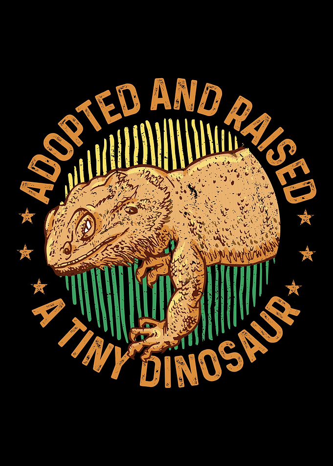 Funny Bearded Dragon