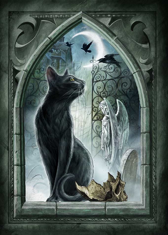 Through Midnight's Gate