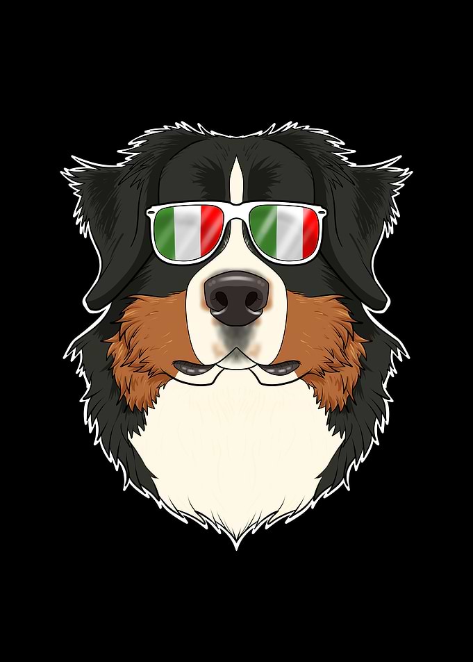 Bernese Mountain Dog Italy