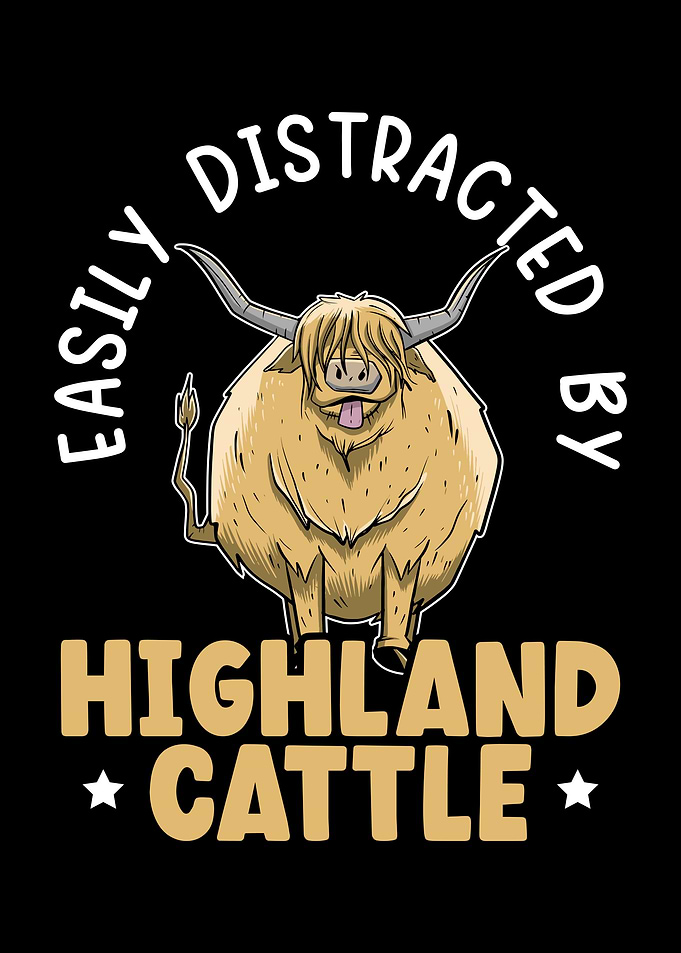 Highland Cattle