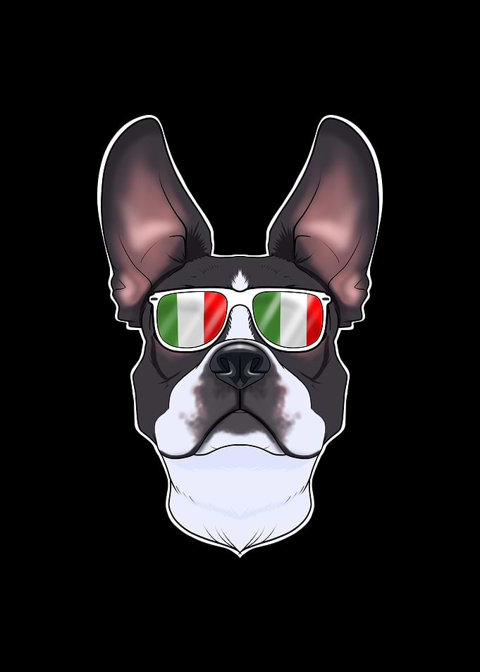Boston Terrier Italy