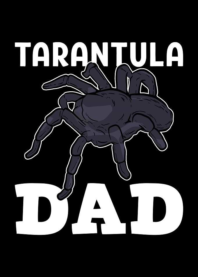 Tarantula Dad