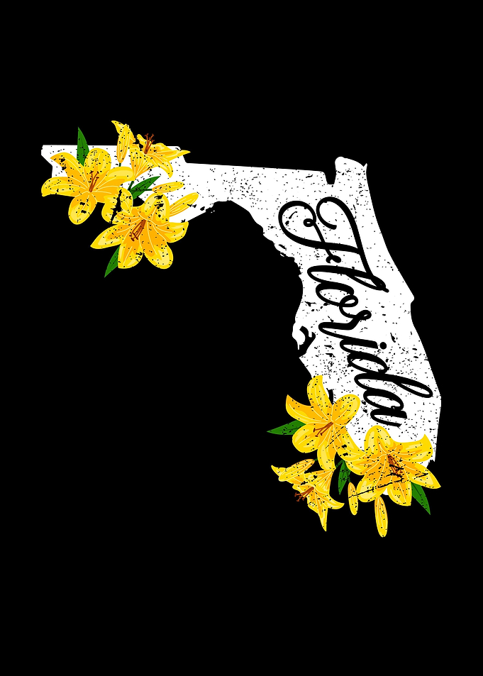 Lily Flower Florida Gift