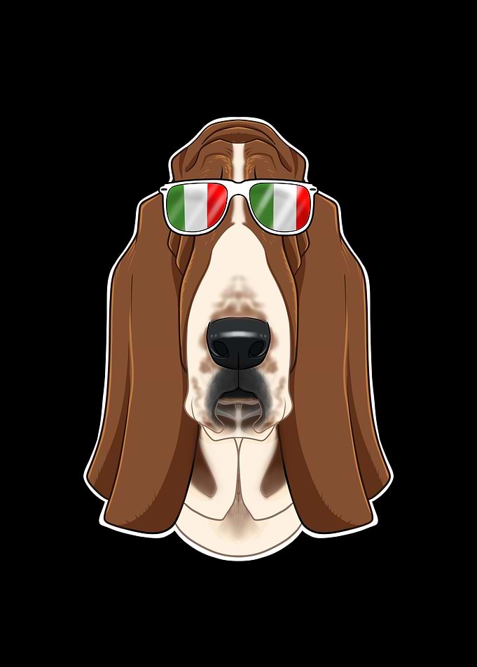 Basset Hound Italy