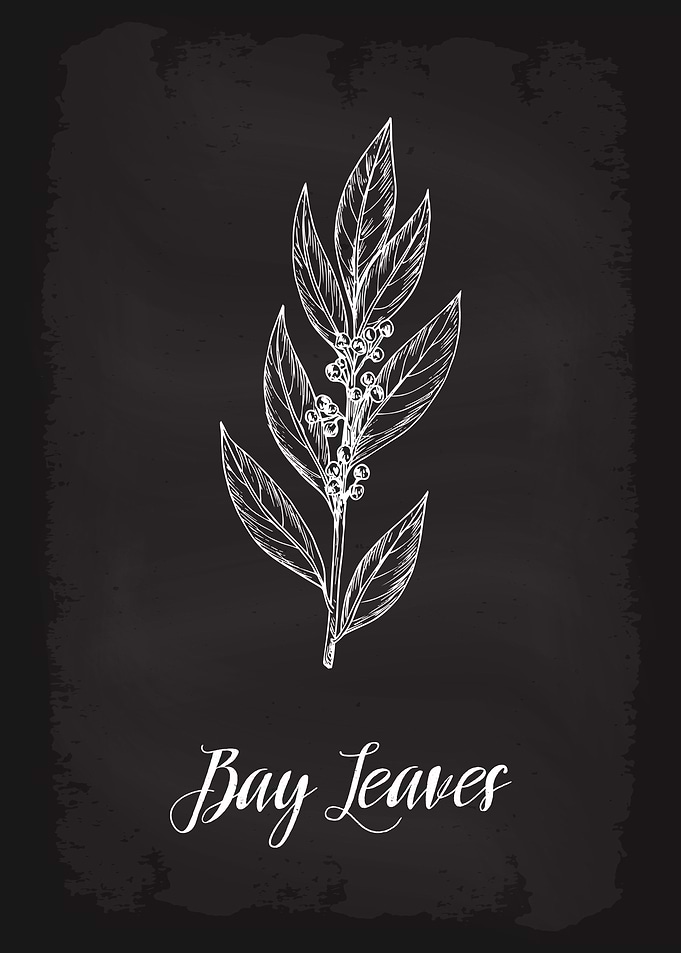 Kitchen Herbs Bay Leaves