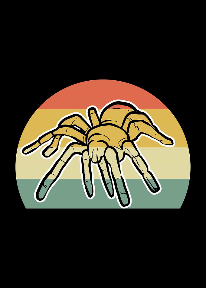 Retro Spider