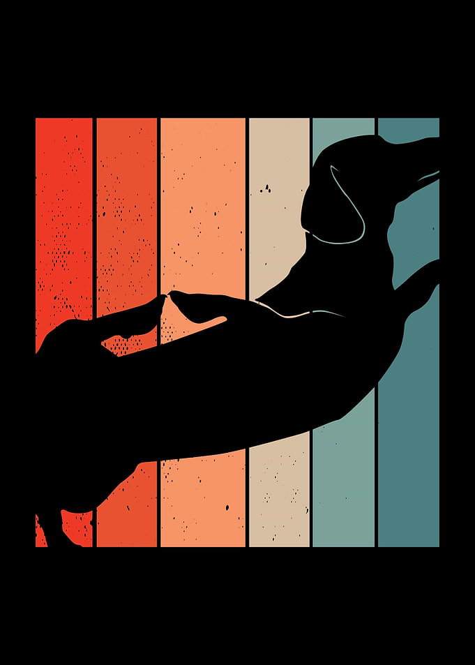 Dachshund Yoga Dog