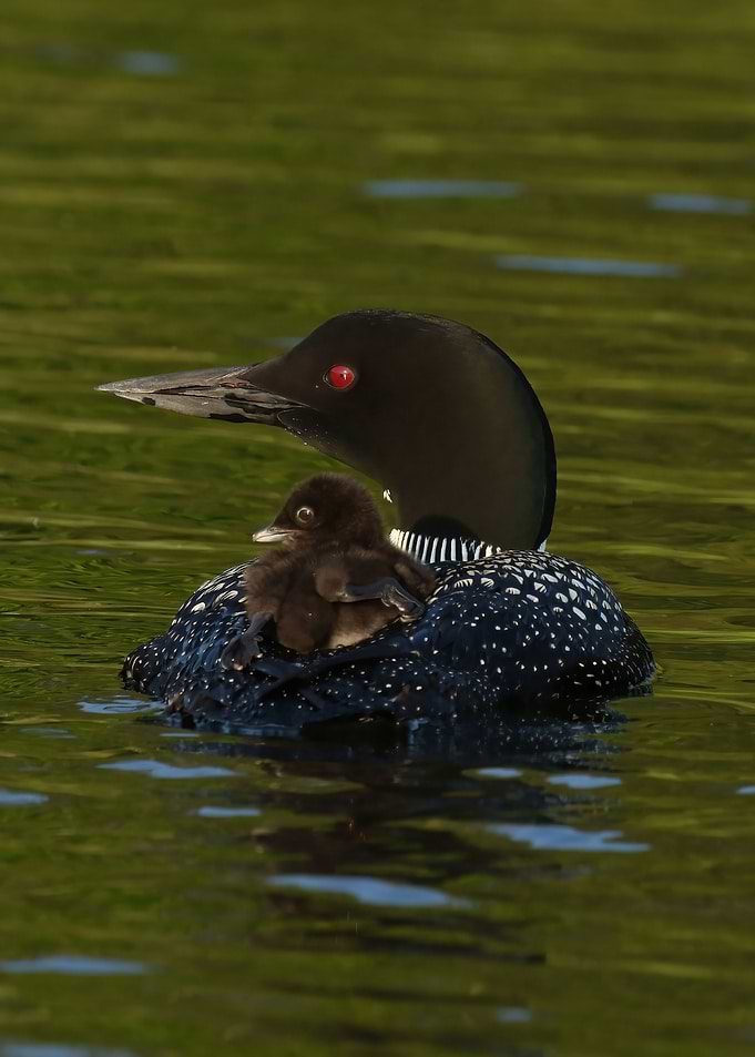 Mom with baby