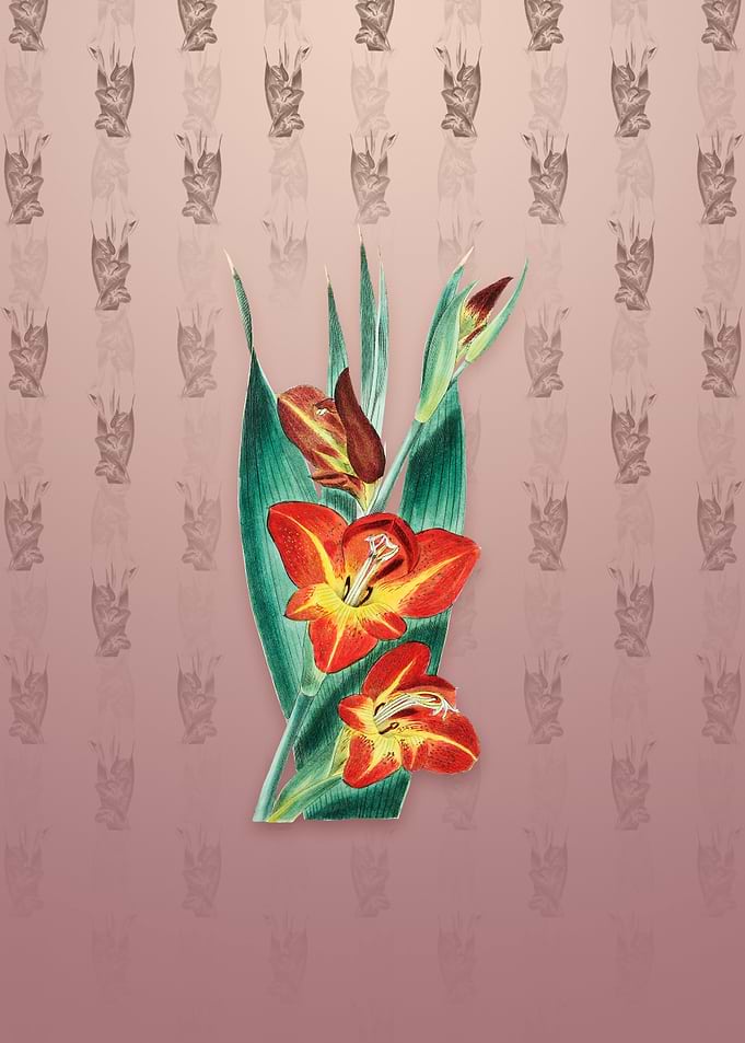 Parrot Gladiole Flower