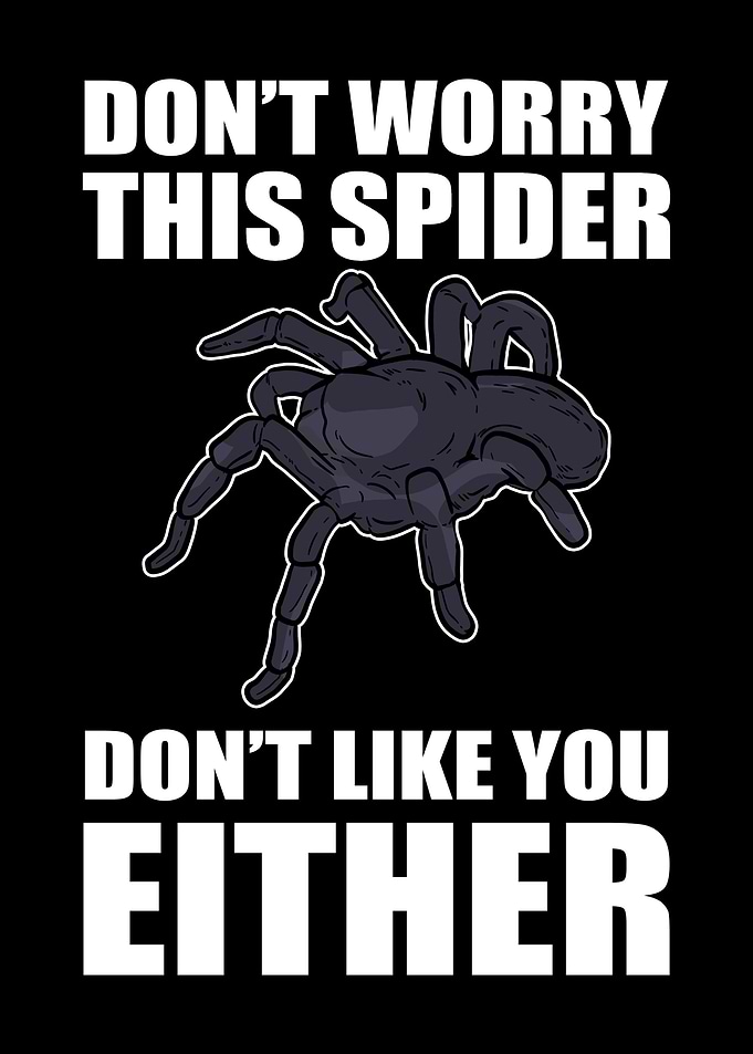 Funny Spiders
