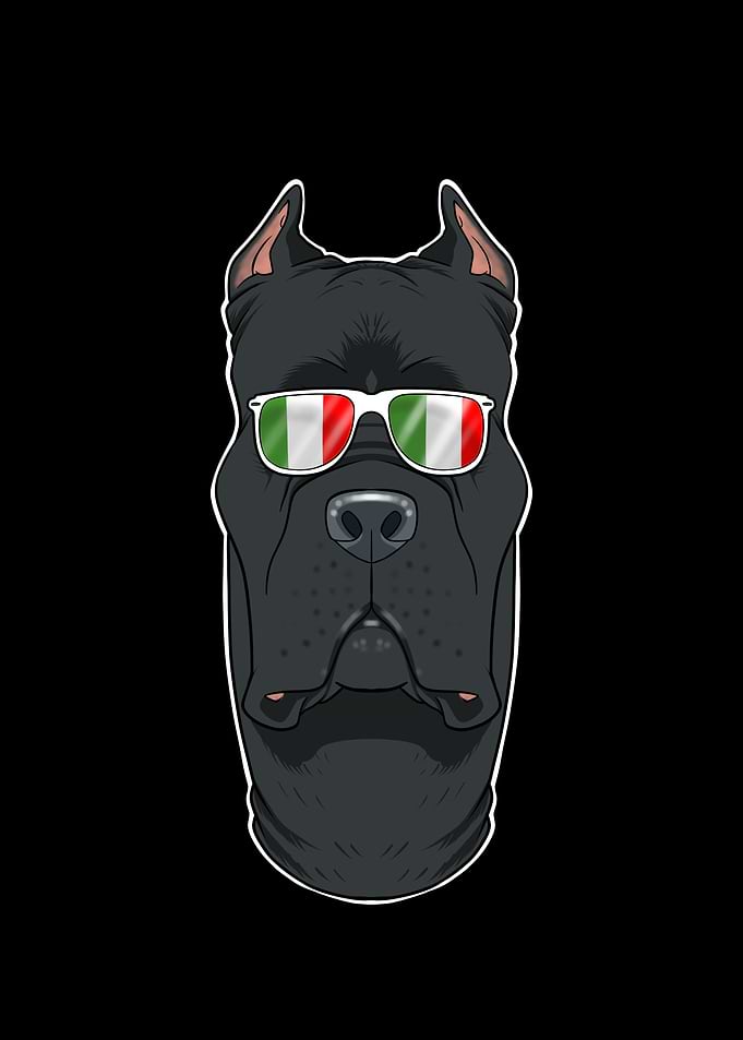 Cane Corso Italy
