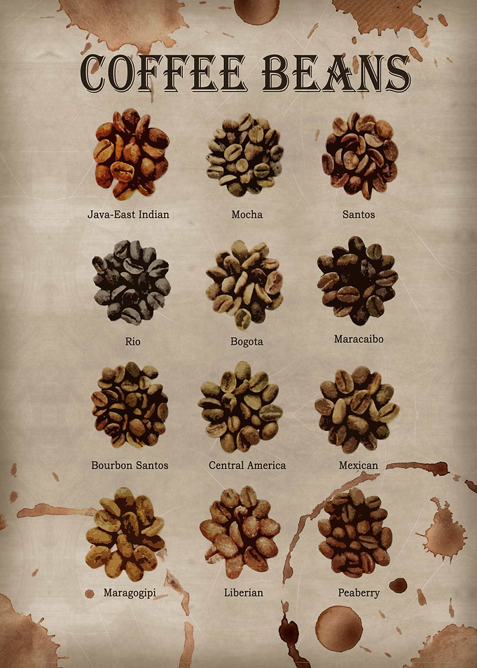 Coffee Beans Guide