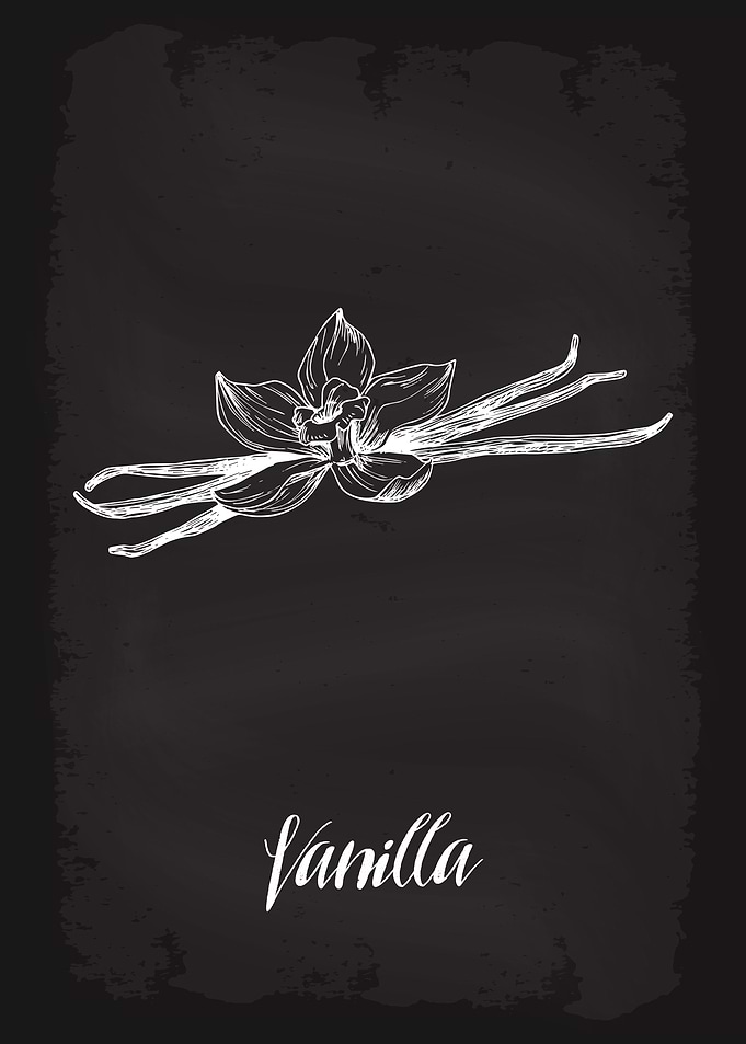 Kitchen Herbs Vanilla