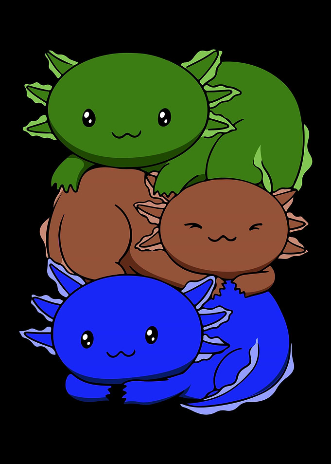 Sapiosexual Flag Axolotl