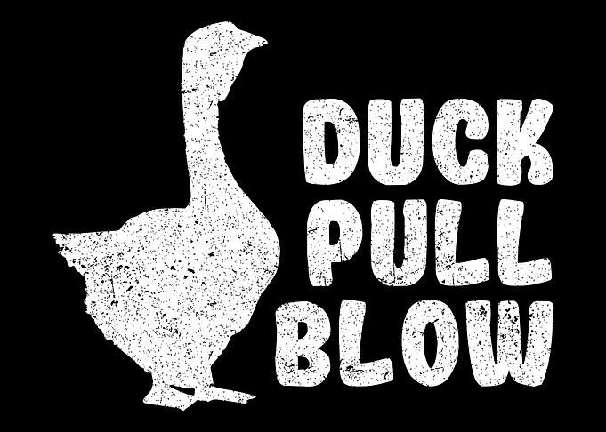 Funny Duck Hunting