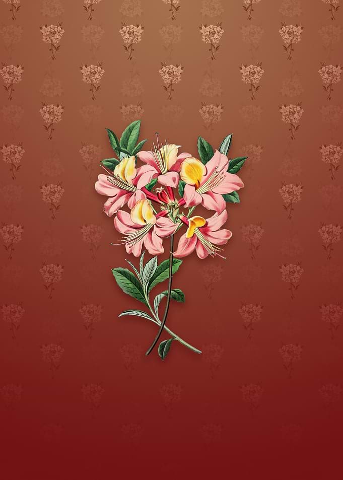 Changeable Pontic Azalea