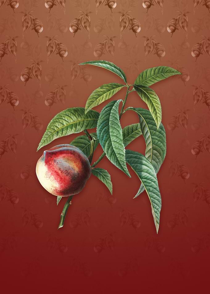 Vintage Peach on Falu Red