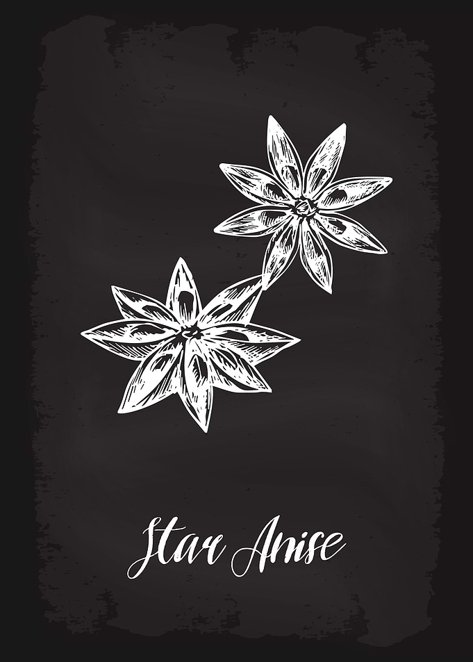 Kitchen Herbs Star Anise