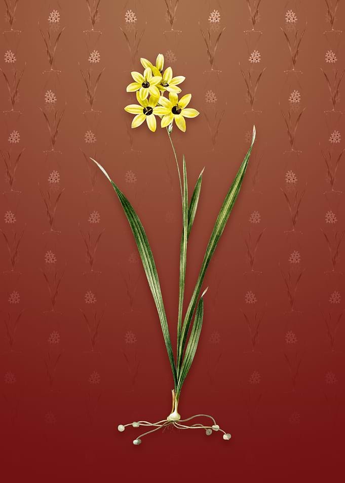 Vintage Ixia Fusco Citrina