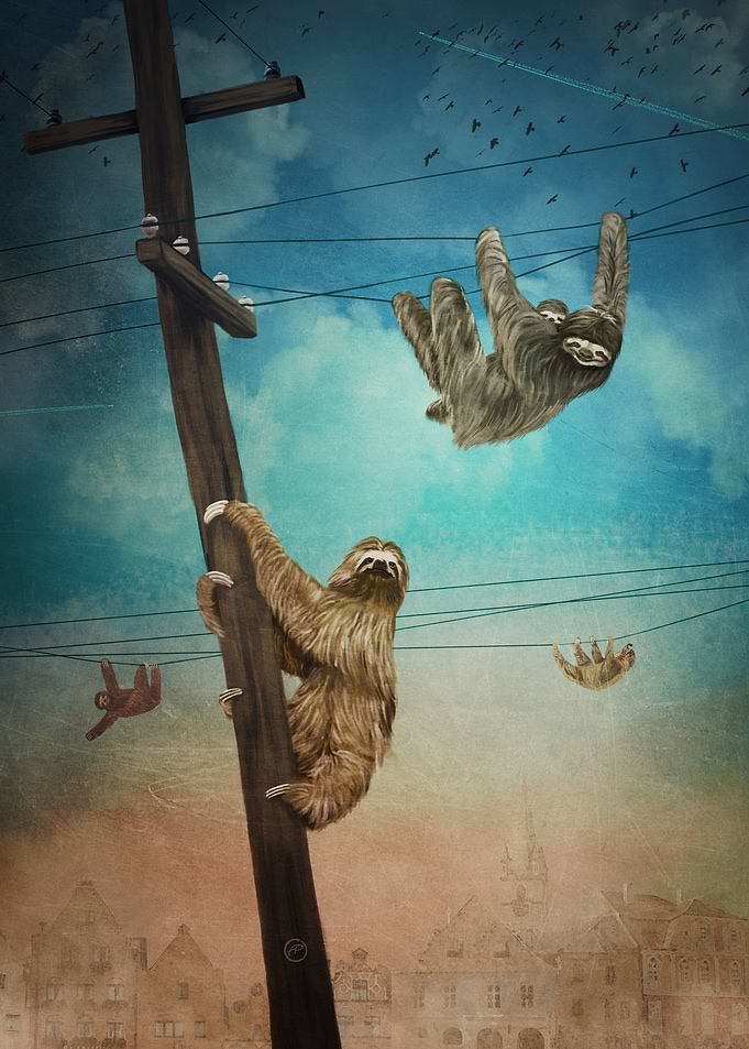 Sloth City