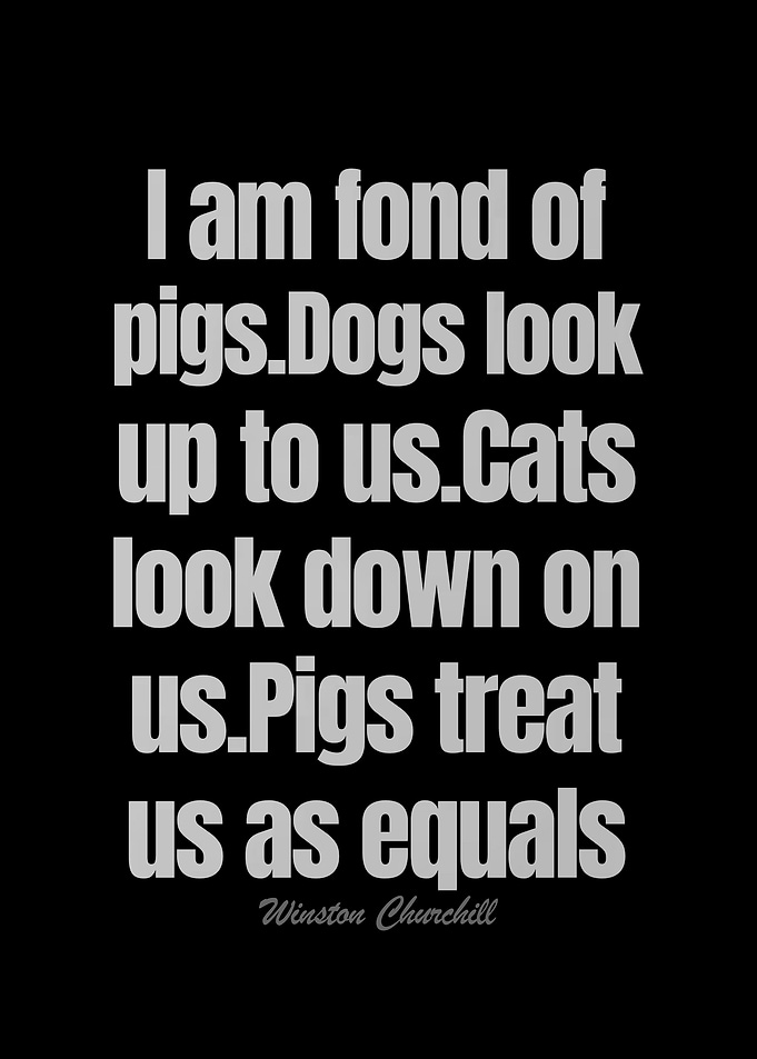 Winston Churchill Quotes