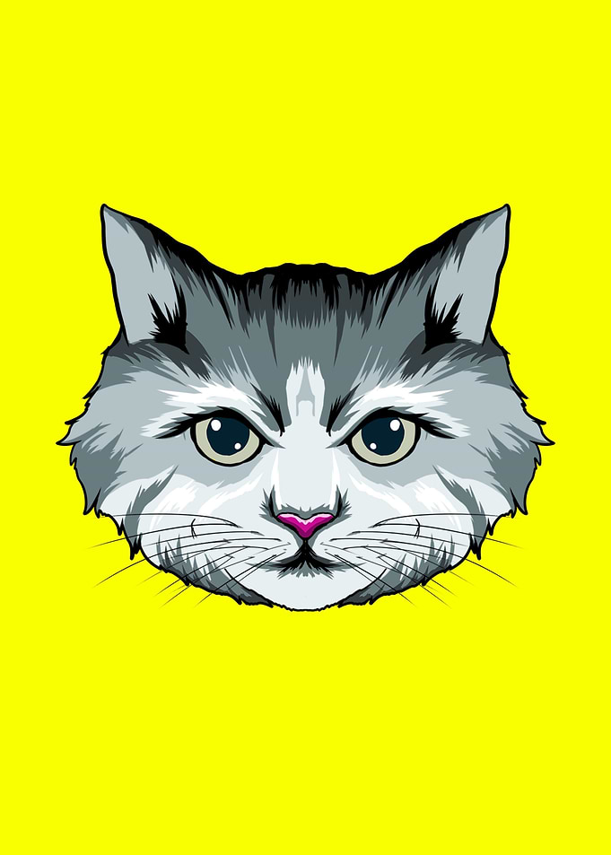 Gray Cat