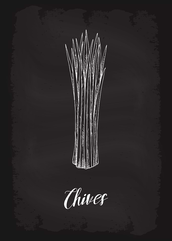 Kitchen Herbs Chives