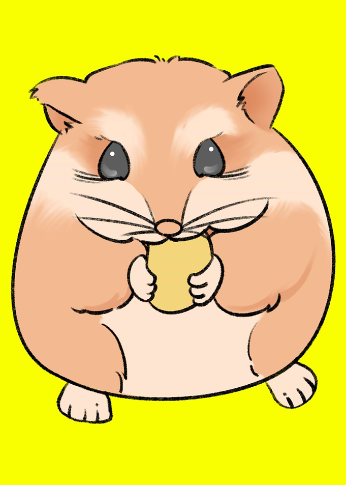 Hamster Eating Nut