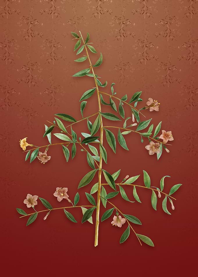 Goji Berry on Falu Red